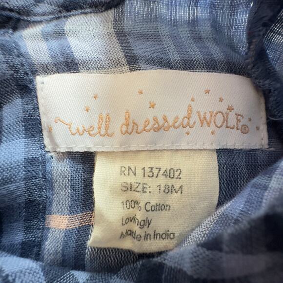 Well Dressed Wolf Blue Gingham Bell-sleeve Boho Top VGUC 18mo - Picture 4 of 5